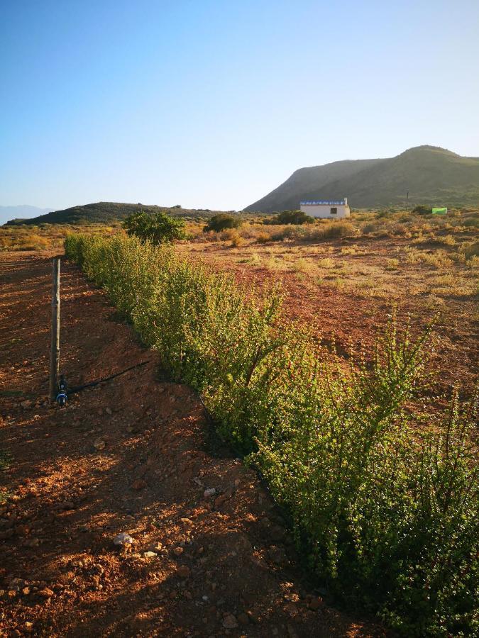 Klipberg Cottage McGregor Dış mekan fotoğraf