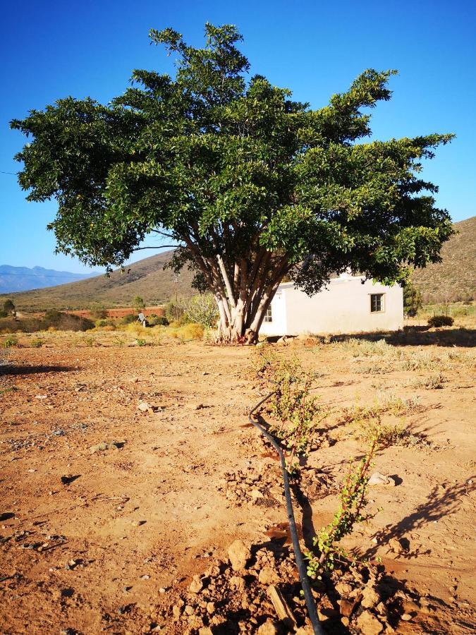 Klipberg Cottage McGregor Dış mekan fotoğraf